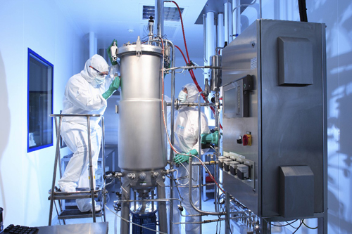 cGMP-Manufacturing.jpg